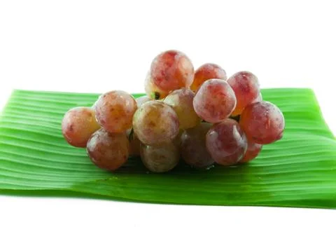 Grape Stock Photos