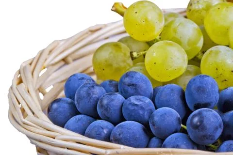 Grape Stock Photos
