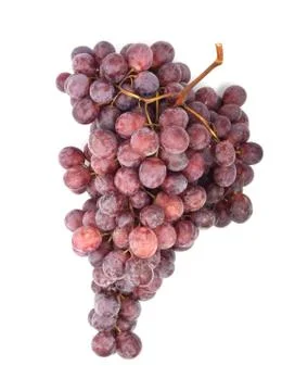 Grape Foto stock