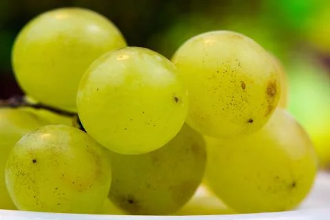 Grape Stock Photos