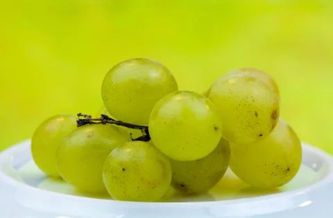 Grape Foto stock