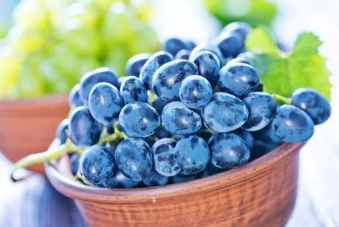 Grape Stock Photos
