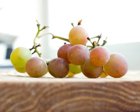 The Grape. 스톡 사진