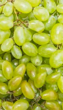 Grape Stock Photos