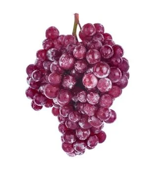 .grape Stock Photos