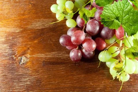 Grape Stock Photos