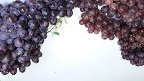 Grape Stock Photos