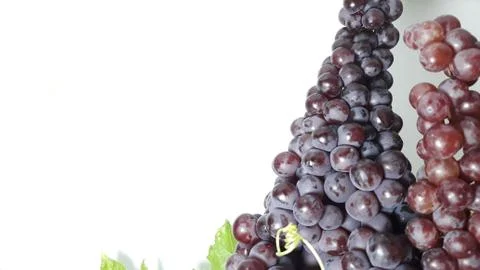 Grape Stock Photos