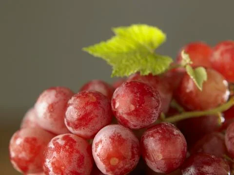Grape Stock Photos