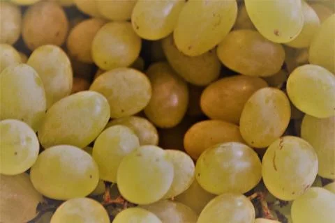 Grape Stock Photos