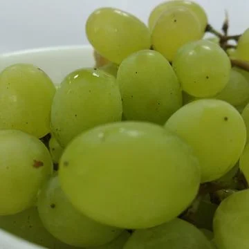 Grape Stock Photos
