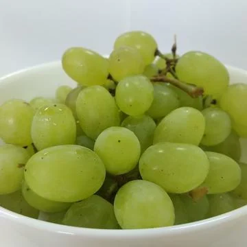 Grape Stock Photos