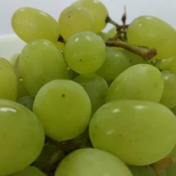Grape Stock Photos