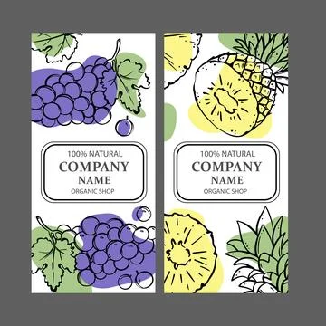 GRAPE PINEAPPLE LABELS Design Sketch Vector Illustration Set Stock Illustration
