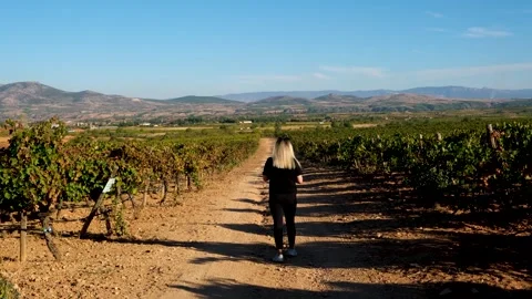 Grape press machine in a winery, The processes of winemaking Stock Footage 288906788