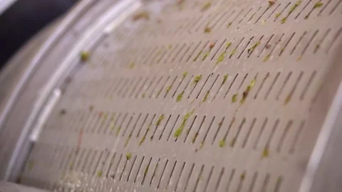 Grape pressing machine Stock Footage 194455155