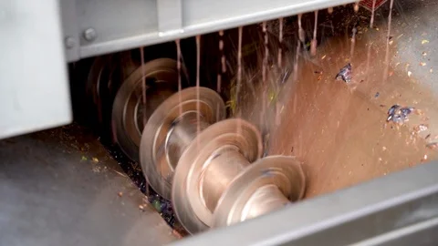 Grape pressing for wine Video stock 116670120