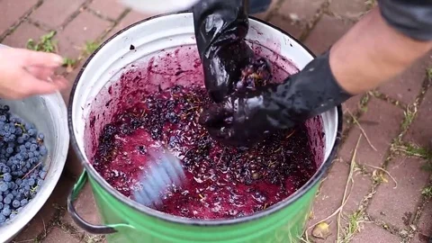 Grape processing by hands Stock Footage 69124262
