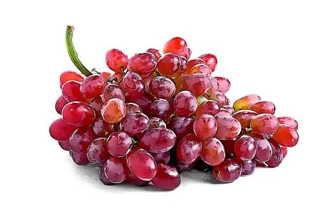 Grape Red with isolated white background Foto stock