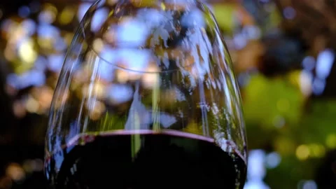 Grape red wine in a glass tasting process against grape background. Winemaking Stock Footage 165111986