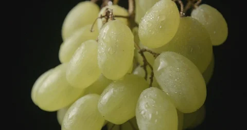 Grape rotating close up studio slow motion 4k Stock Footage 94741710