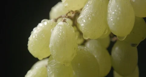 Grape rotating close up studio slow motion 4k Stockbeeldmateriaal 94741792