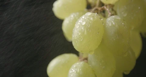 Grape rotating close up studio slow motion 4k Stock Footage 94741794