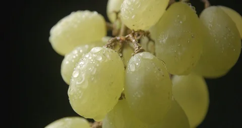 Grape rotating close up studio slow motion 4k Видео 94741890