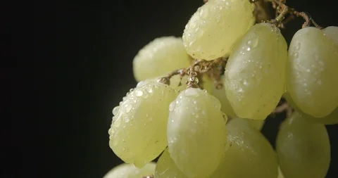 Grape rotating close up studio slow motion 4k Stock Footage 94741914