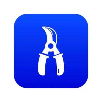 Grape scissors icon blue 库存插图