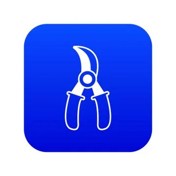 Grape scissors icon blue vector 库存插图