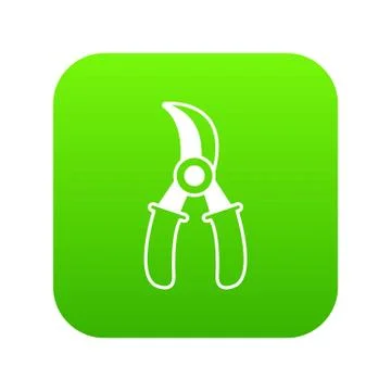 Grape scissors icon green 库存插图