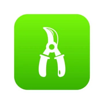 Grape scissors icon green vector 库存插图