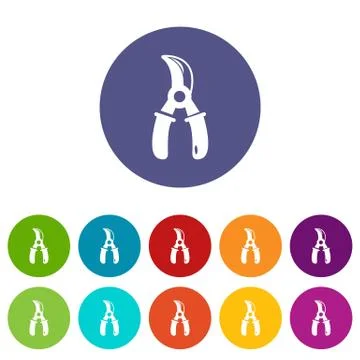Grape scissors icons set color 库存插图