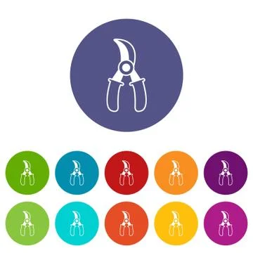 Grape scissors icons set vector color 库存插图