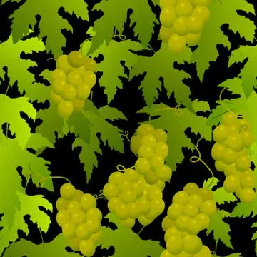 Grape seamless pattern Stock Illustration
