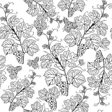 Grape seamless pattern Stock Illustration