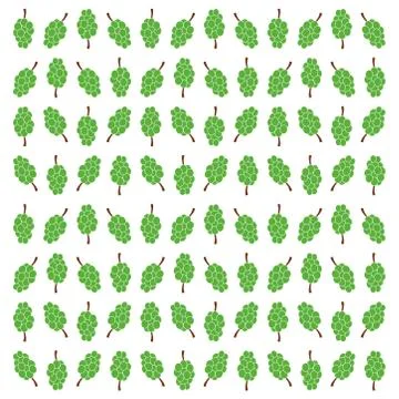 Grape seamless pattern. Vector illustration. grape template Illustrazione stock