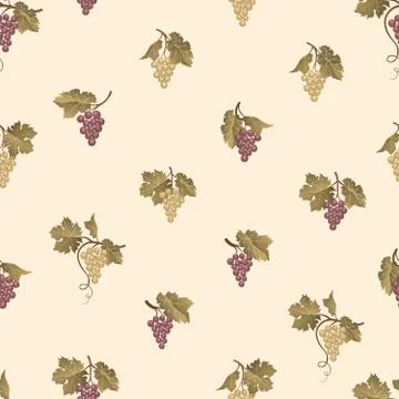 Grape seamless pattern. Wine yard natural fruit ornament. Food background. Illustrazione stock