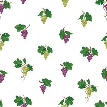Grape seamless pattern. Wine yard natural fruit ornament. Food background. Illustrazione stock