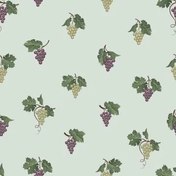Grape seamless pattern. Wine yard natural fruit ornament. Food background Illustrazione stock