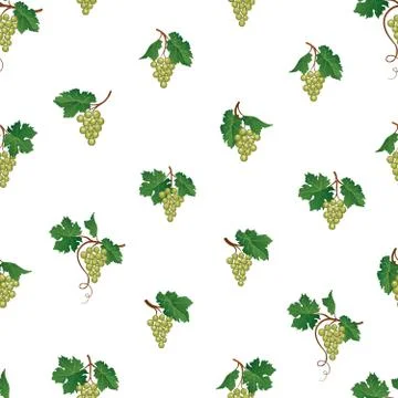 Grape seamless pattern. Wine yard natural fruit ornament. Food background Illustrazione stock