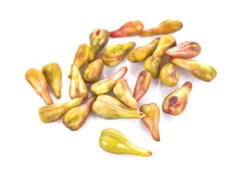 Grape seeds on white background macro closeup Stock Photos