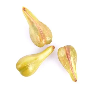 Grape seeds on white background Stock Photos