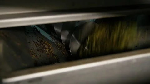 Grape squeezes after pressing at the winery Stock Footage 169136735