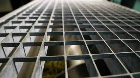 Grape squeezes after pressing at the winery Stock Footage 169136812