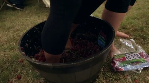 Grape Stomp 1 Stock Footage 83561752