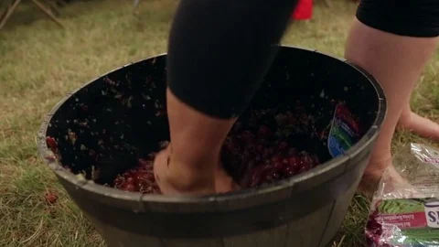 Grape Stomp 2 Stock Footage 83561740