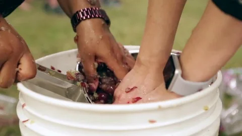 Grape Stomp 3 Stock Footage 83561742