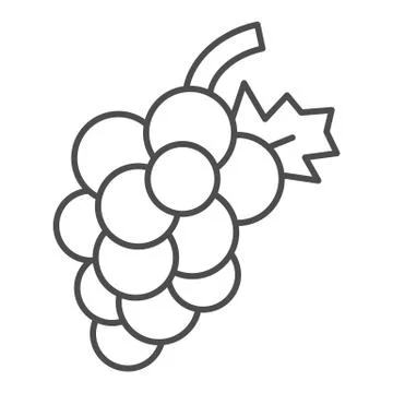 Grape thin line icon. Fruit vector illustration isolated on white. Vitamin Ilustración de archivo